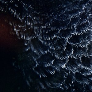 H Ø R D - Focus On Light (LP; 2016)